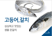고등어, 갈치 - 싱싱하고 맛있는 생물 은갈치