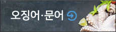 오징어, 문어